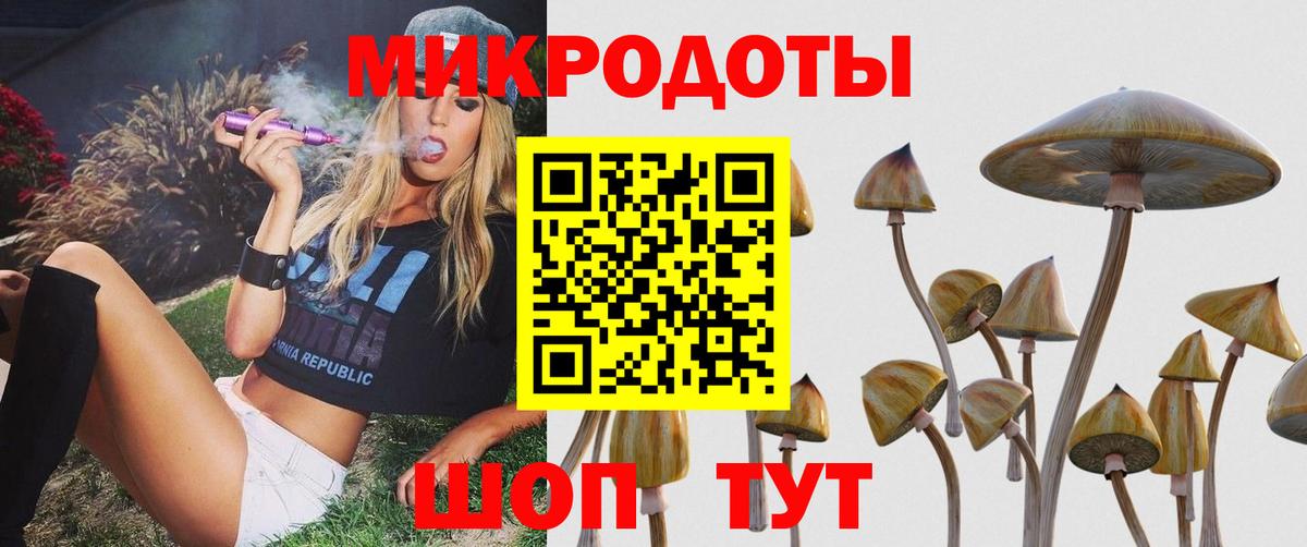 Галлюциногенные грибы ЛСД Каспийск