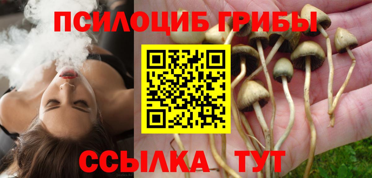 Галлюциногенные грибы Cubensis  Вход с VPN  Каспийск 
